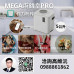 安全規劃顧問｜高維沅－打造智慧安全防護，守護企業與家庭每一天